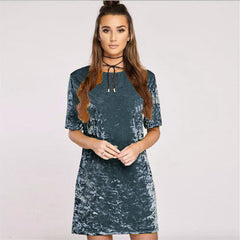 Velvet Short Sleeve Dress