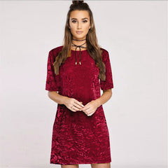 Velvet Short Sleeve Dress